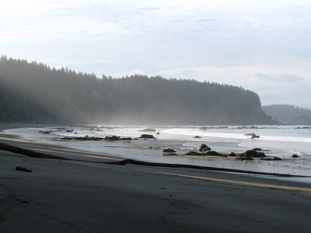5795IMG_2689_S_.JPG