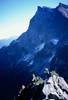 1280paulbuck-thumb.jpg