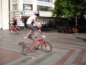 1281P5270006-med.jpg