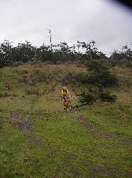 1281img41089.jpg