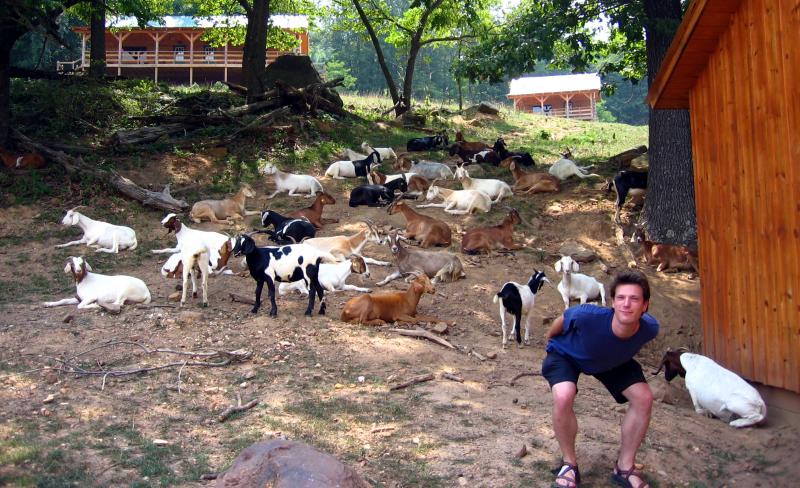 136arkansas_goats.JPG