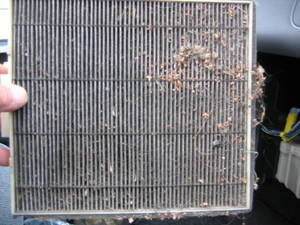3712car_filter_004-med.jpg