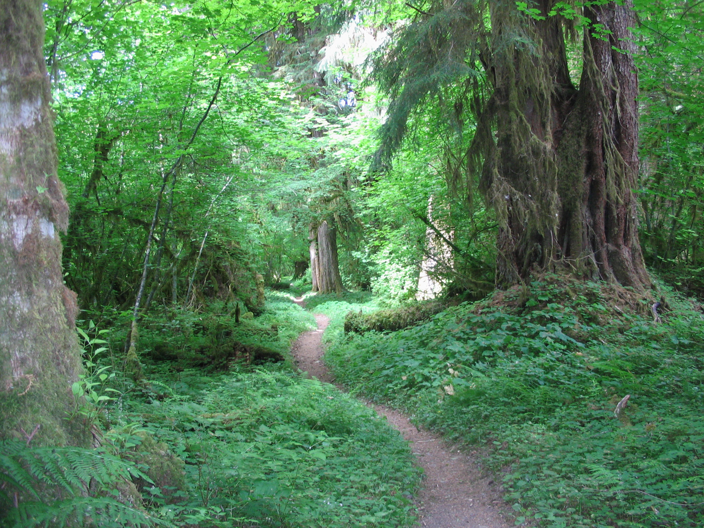 4222Olympus_114_copy.jpg