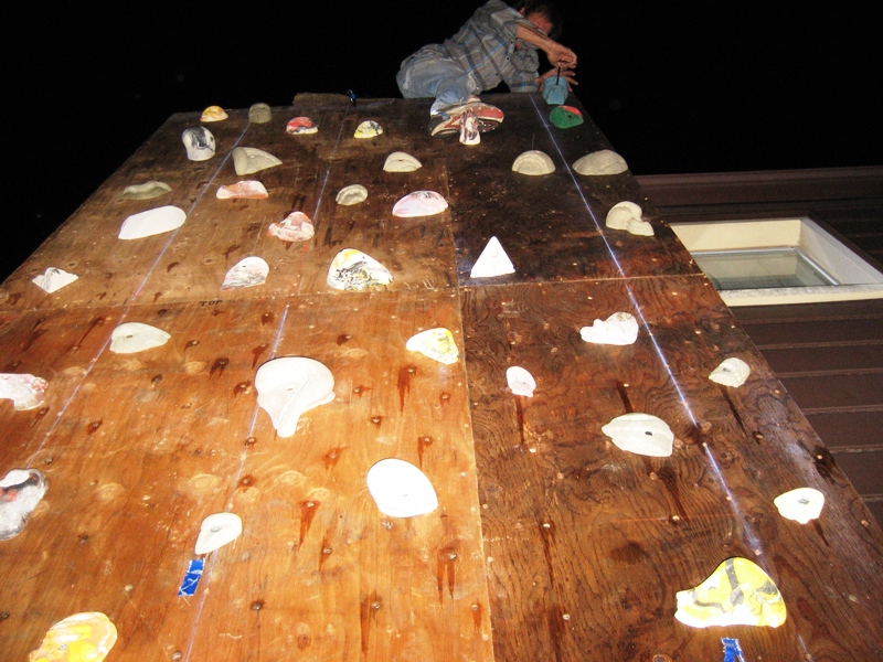 4342ClimbingWall_100.jpg
