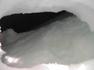 4902PIMG6774-med.JPG