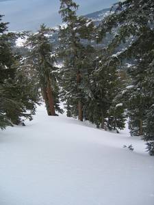5238Tallac-med.jpg