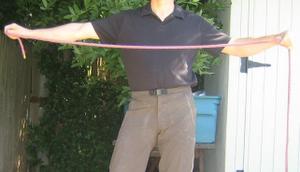6299BOBHarness_1.jpg