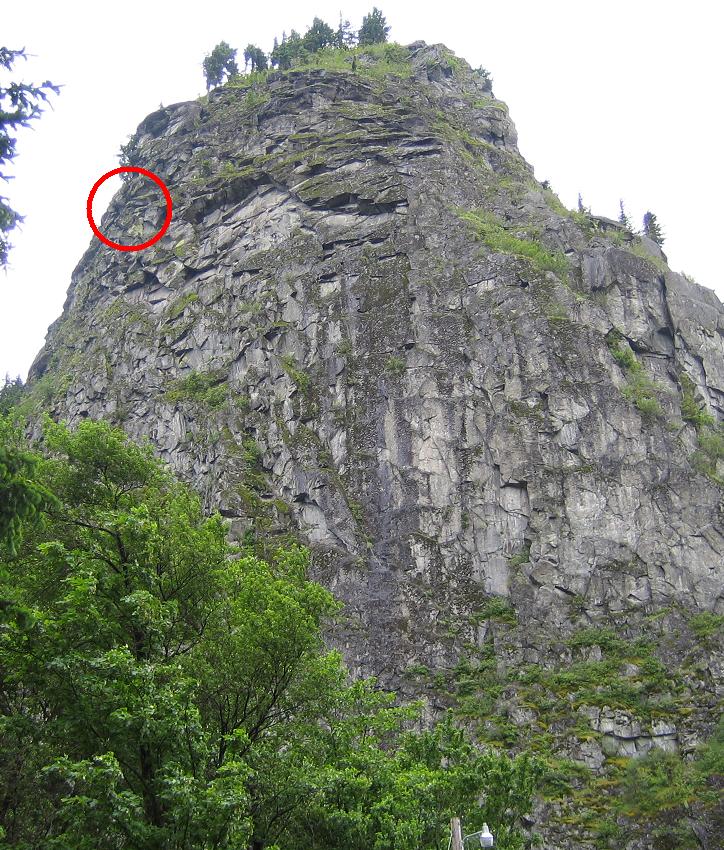 6299peregrine_nest.JPG