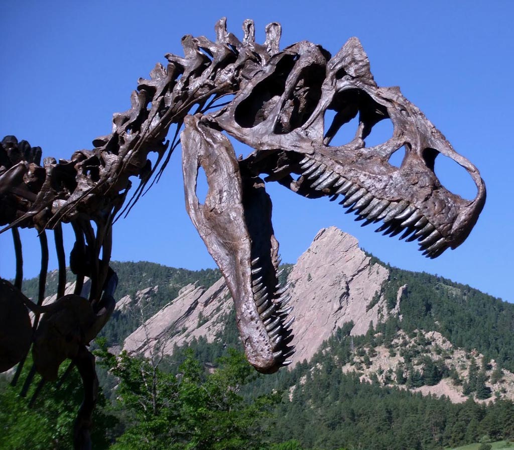 Allosaur.jpg