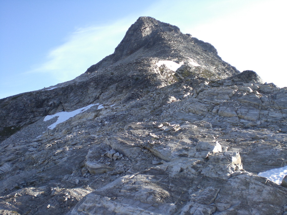 CIMG0015_resize1.JPG