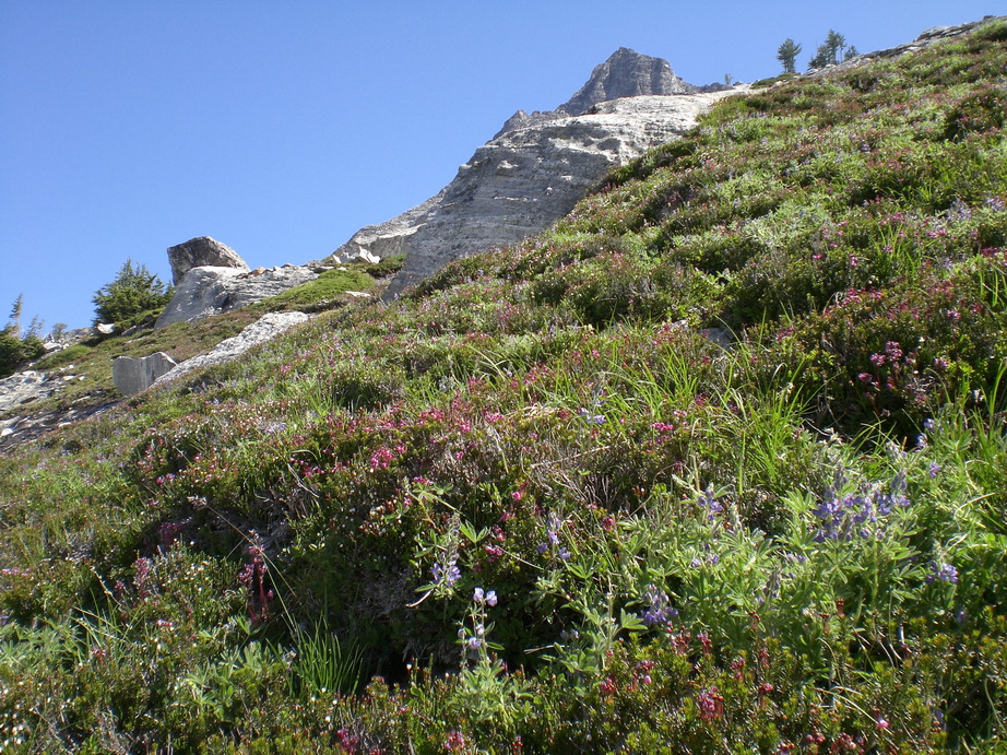 CIMG0151_resize.JPG