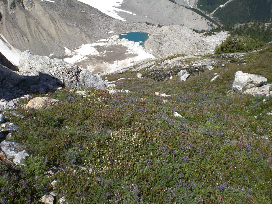 CIMG0156_resize.JPG
