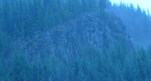 Catlamet_Wall.jpg