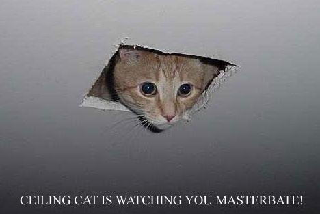 Ceiling_Cat.jpg