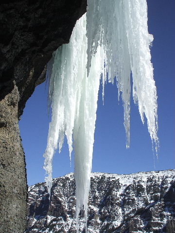 DSCF0797.JPG