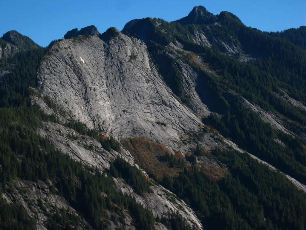 IMG_2847.JPG