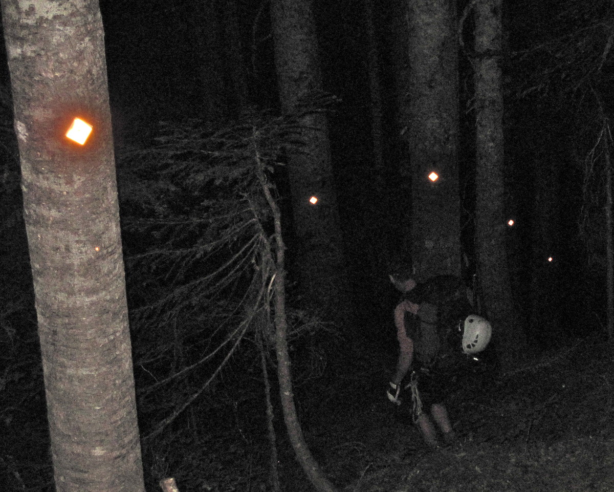 MArkers_in_the_dark_forest.JPG