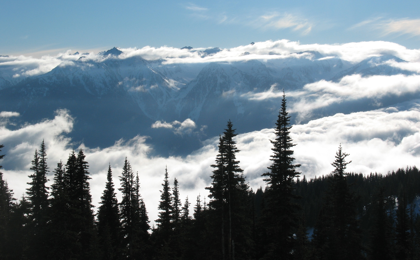 Olympics_from_Hurricane_Ridge_Feb_24_08.JPG