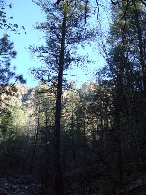 Secret_Canyon_resize08.jpg