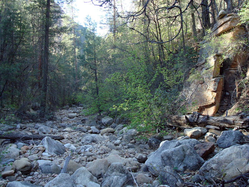 Secret_Canyon_resize09.jpg