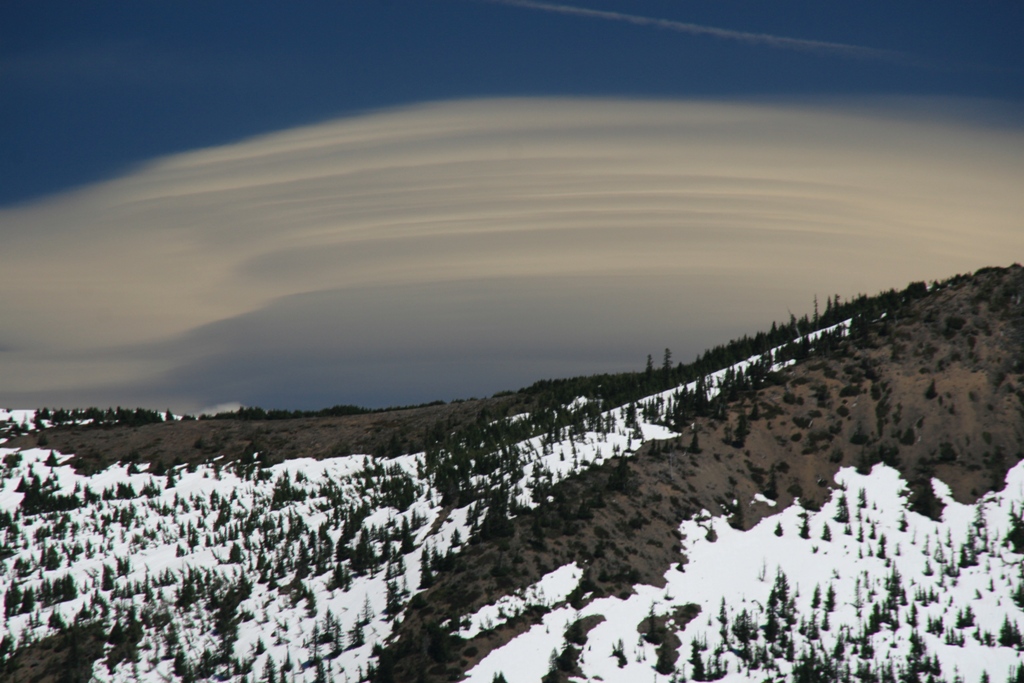 cool_hood_lenticular.JPG