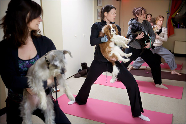 doga.jpg