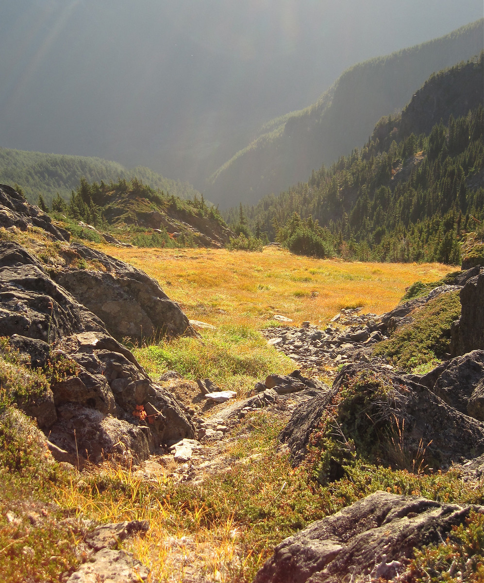golden_afternoon_USE.jpg