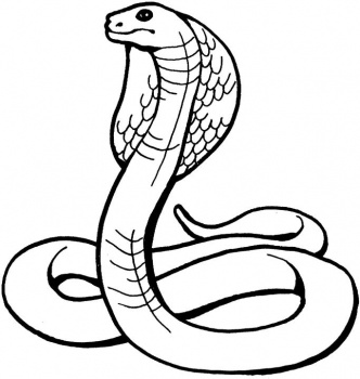 king-cobra-coloring-page.jpg