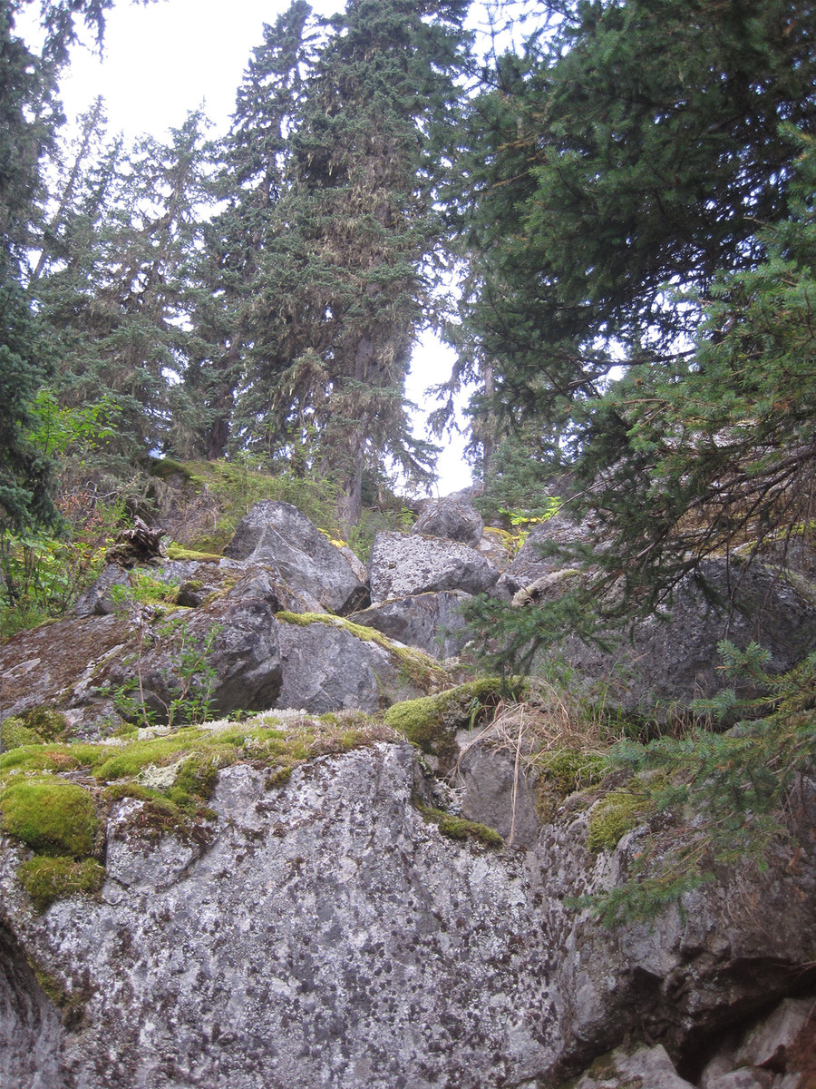 lovely_mossy_boulders_on_approach_USE.jpg