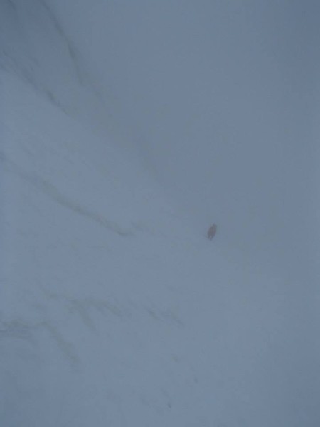 10418991_600005642920_2275681207582932764_n.jpg