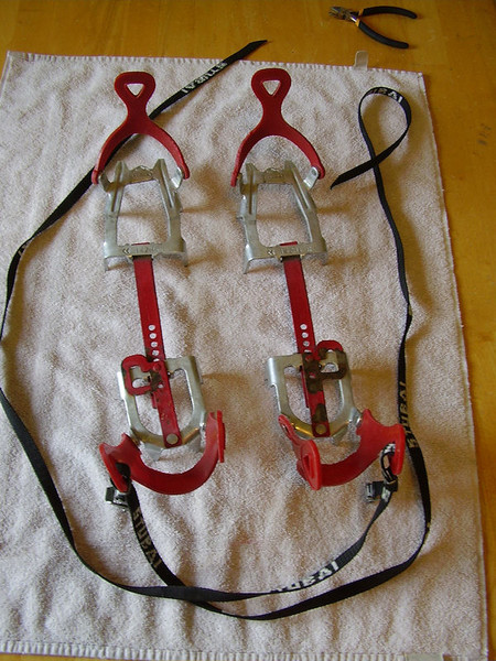 20110531_3.JPG