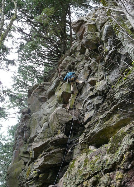 Bill_leading_the_Trembling_resized.jpg