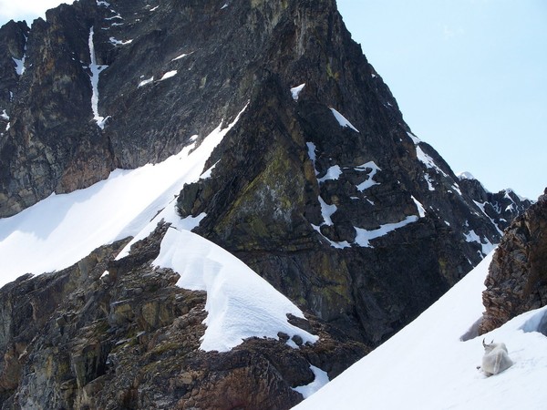 Black_Peak_040.JPG