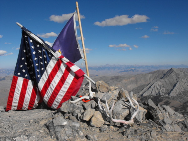 Borah_horns_on_summit.jpg