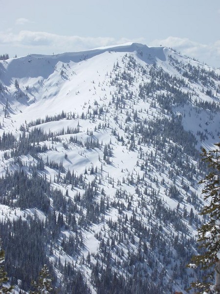 Boulder_Basin-Point_5959_and_Strawberry_Fields.JPG