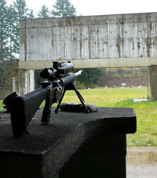 DPMS_Panther_at_the_range.jpg