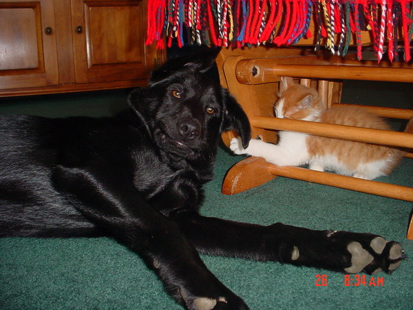 DSC00758.JPG