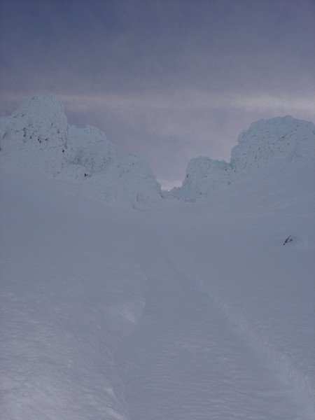 DSC03138.JPG