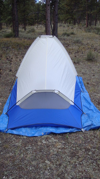 DSC052272.JPG