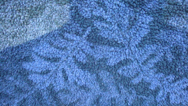 DSC05268.JPG