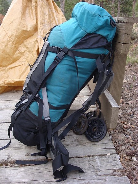 Dana design hotsell arcflex alpine