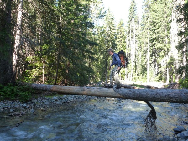 Fisher_Creek_Log_Cross.jpg