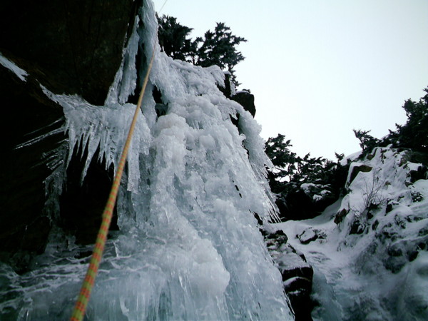 IMAG0590.JPG