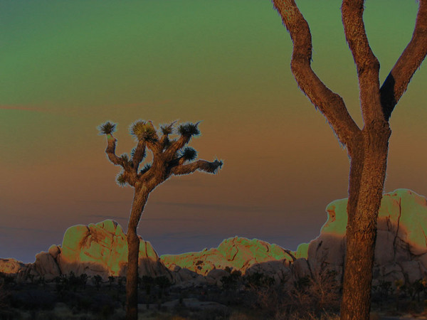JTree_solarized_resize.jpg