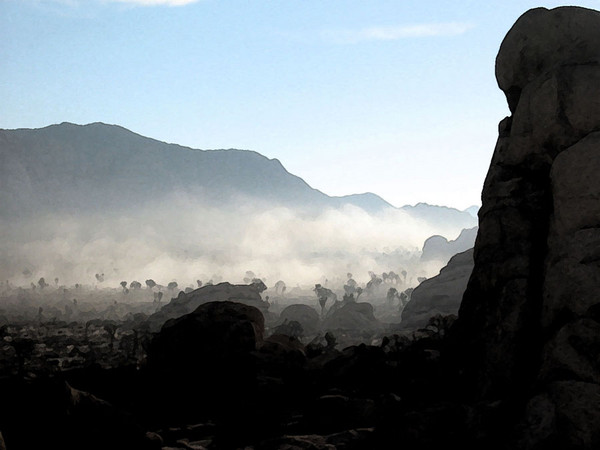 Joshua_Tree_Fresco_resize.jpg