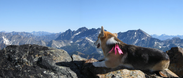 LgSg_0267_268PAN_Buck_summit.JPG