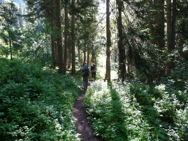 P1000189.JPG
