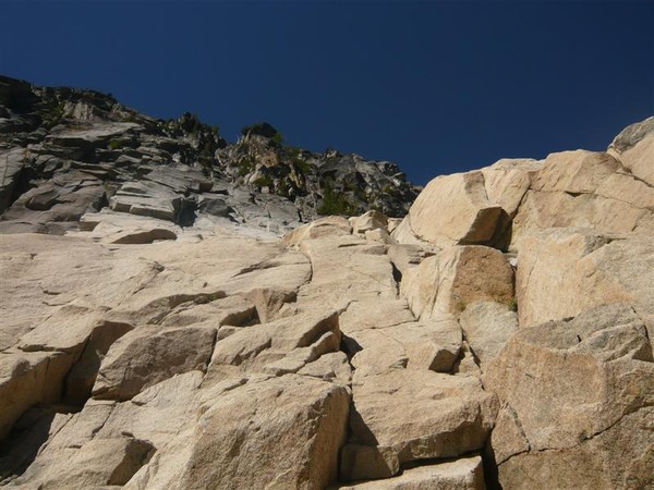 P1020612_Medium_.JPG