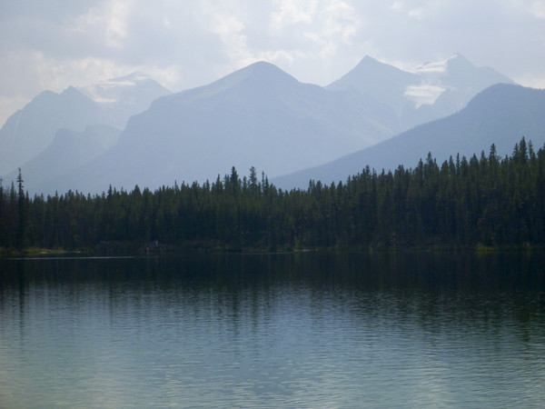 P1020636_1.JPG