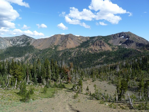 P1180516_2500x1875_.jpg